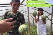 大众看点 